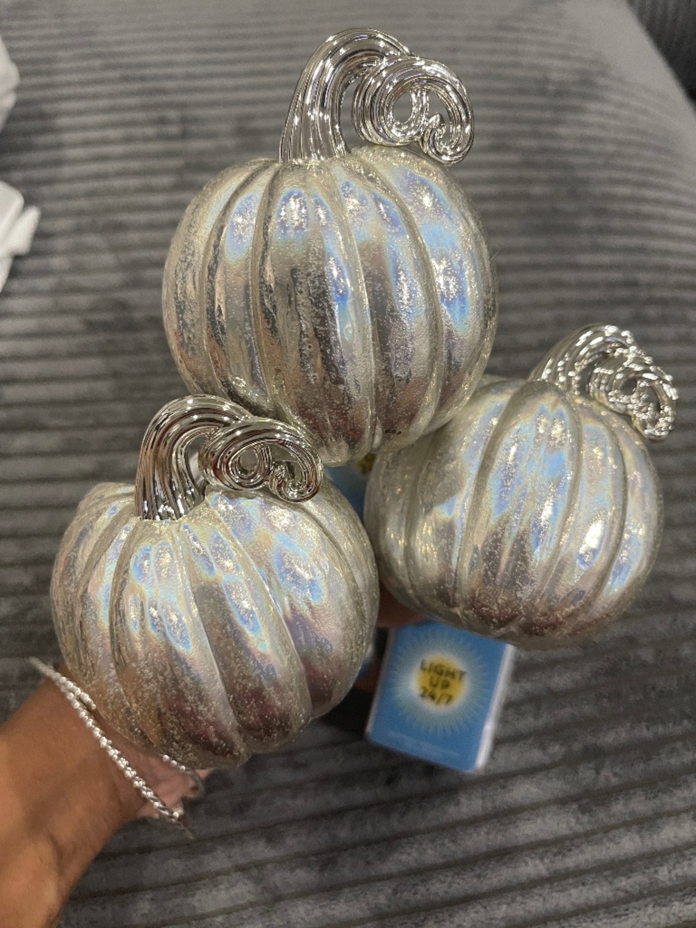 Silver Wallflower Plugs
